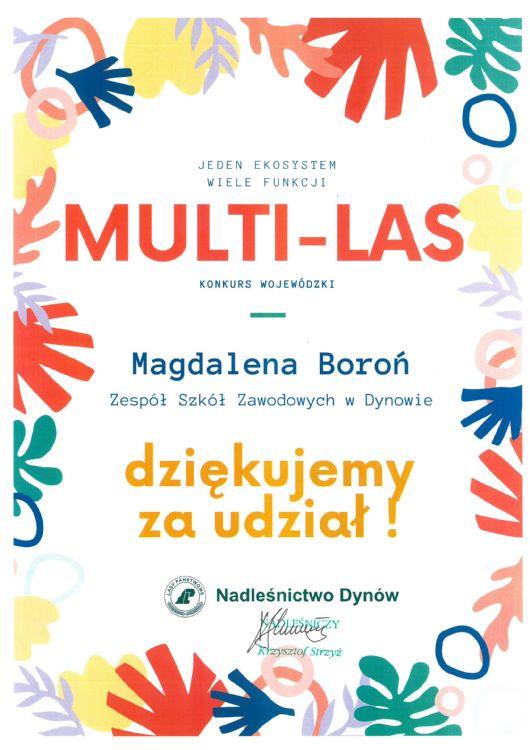 Multi - Las - Magdalena Boron - udzial..jpg